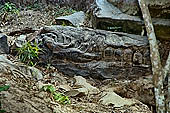 Kbal Spean, called also River of the Thousand Lingam, the riverbed and banks have been graven with linga and various sacred images of hindu divinities 